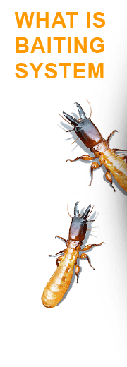 What is Termite Baiting System?